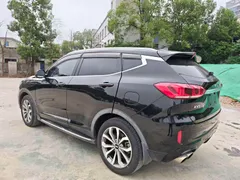 Wey VV6