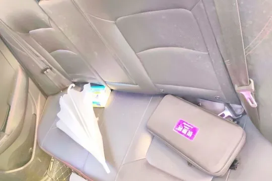 Geely Vision