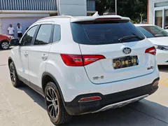 FAW Senia R7
