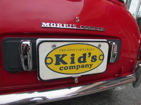 Rover Mini