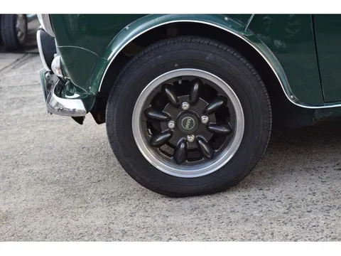 Rover Mini