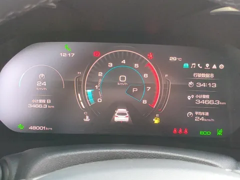Wey VV6