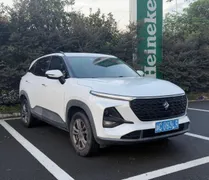 Baojun RS-3