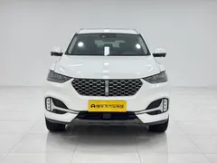 Wey VV6