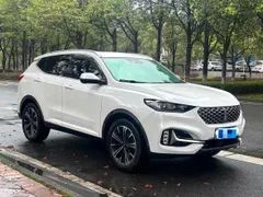 Wey VV6