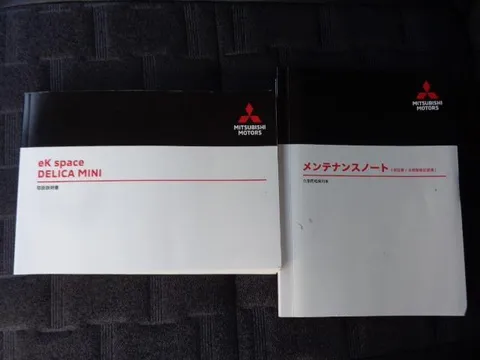 Mitsubishi Delica Mini