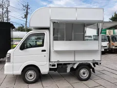 Nissan Clipper Truck