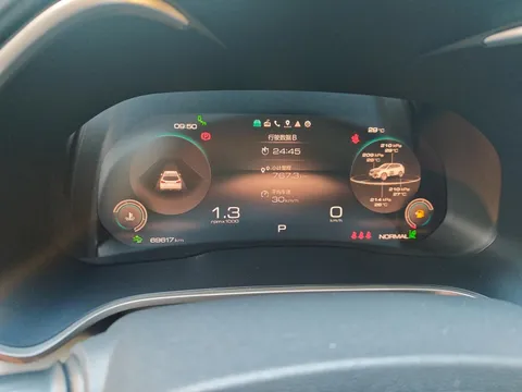 Wey VV6
