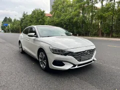 Hyundai Festa