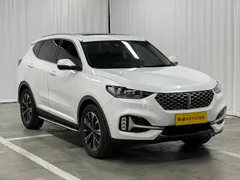 Wey VV6