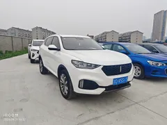 Wey VV6