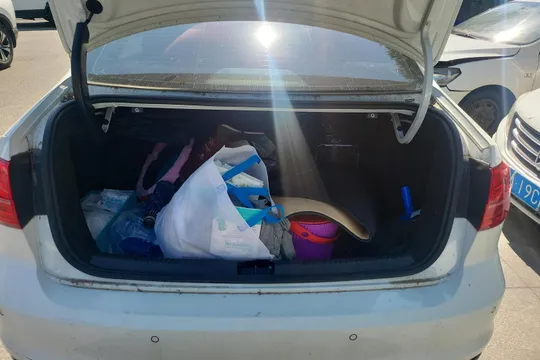 Volkswagen Sagitar