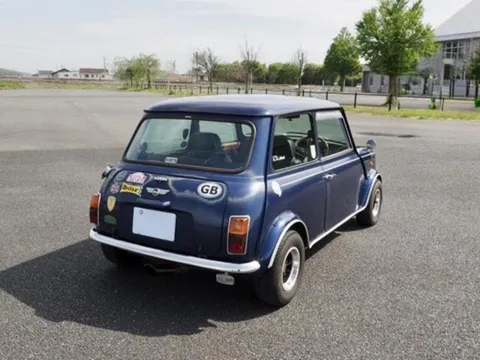 Rover Mini