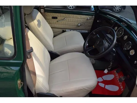 Rover Mini
