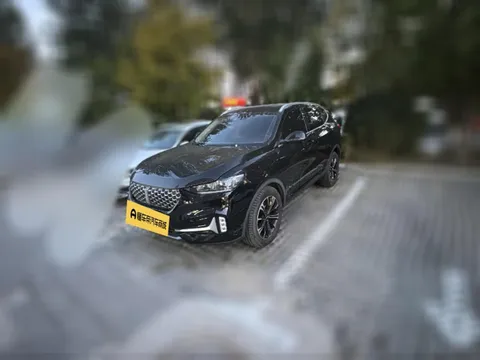 Wey VV6