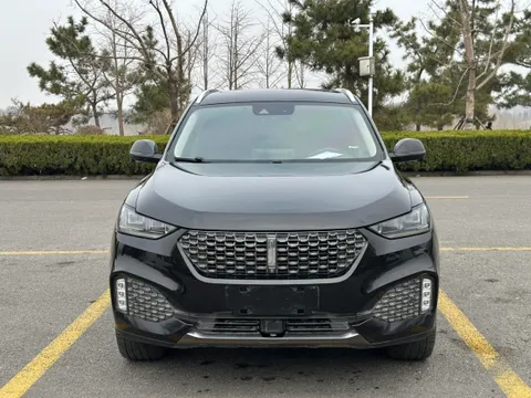 Wey VV6