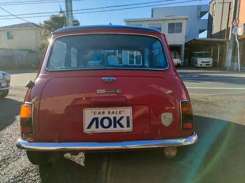 Rover Mini