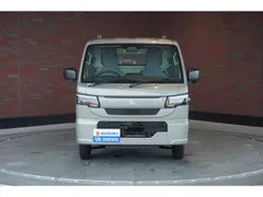 Suzuki Carry Track