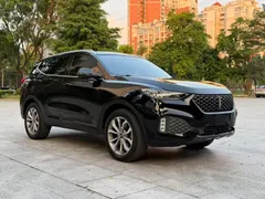 Wey VV6