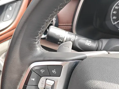 Wey VV6