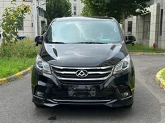 Maxus G10