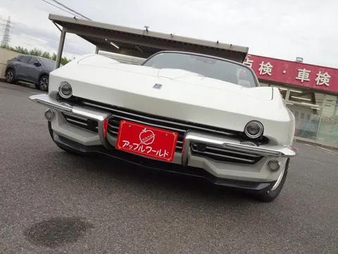 Mitsuoka Rock Star