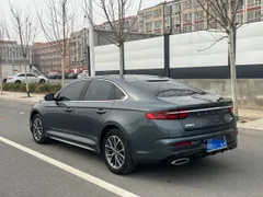 Geely Preface (Xingrui)