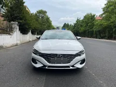 Hyundai Festa
