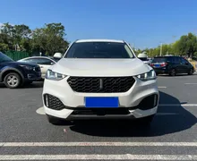 Wey VV6