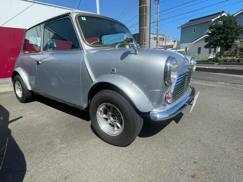 Rover Mini