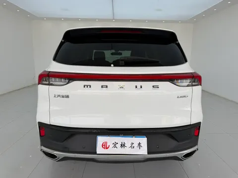 Maxus D60
