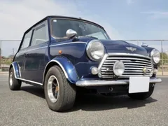 Rover Mini