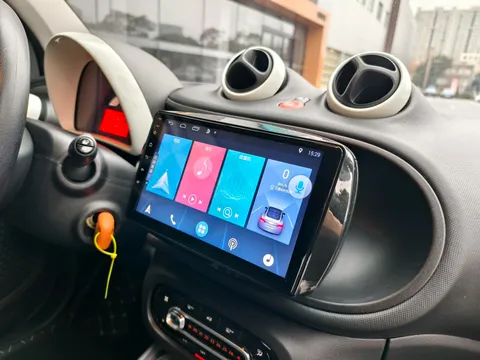 Smart Smart