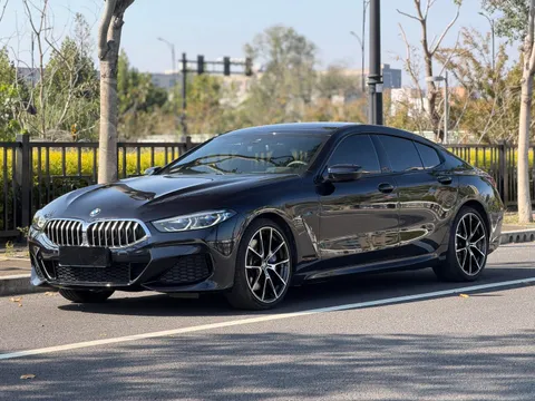 BMW 8-Series