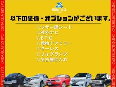 Mitsuoka Viewt