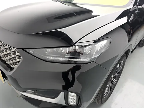 Wey VV6