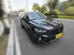 Wey VV5