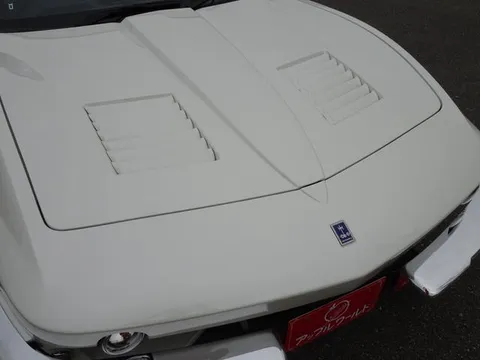 Mitsuoka Rock Star