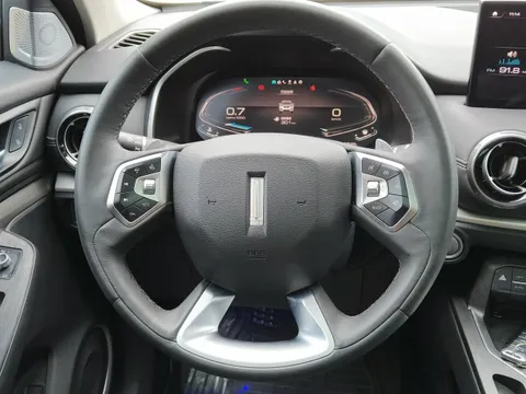 Wey VV6