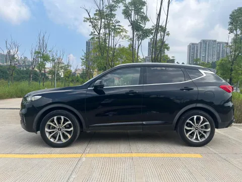 Wey VV6