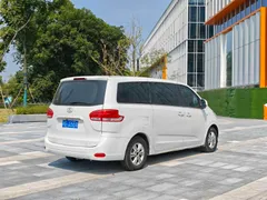 Maxus G10