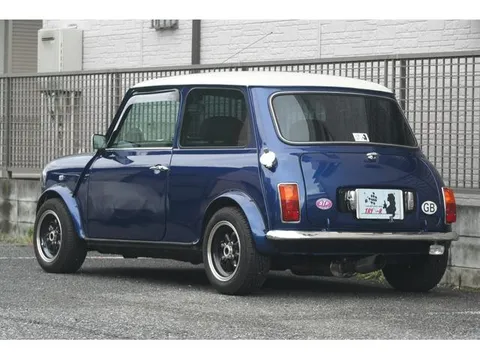 Rover Mini