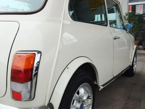 Rover Mini