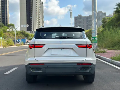 Zotye T700