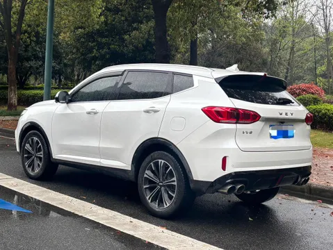 Wey VV6