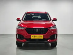 Wey VV6