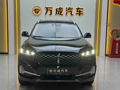 Wey VV6