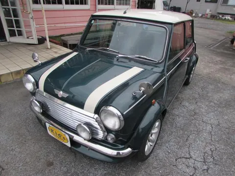 Rover Mini