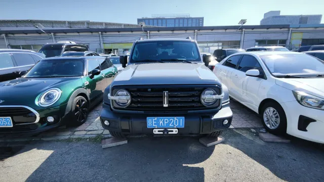 Tank 300