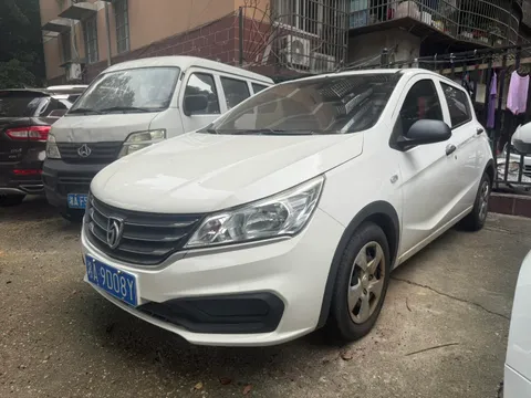 Baojun 310